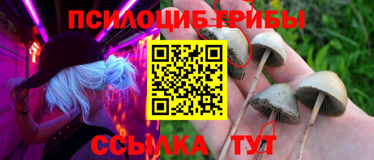 Прохладный  Галлюциногенные грибы ЛСД  Галлюциногенные грибы мухоморы  Вход с VPN 